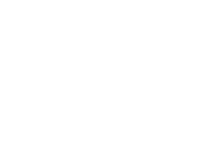 Allgäu Comets standings team logo