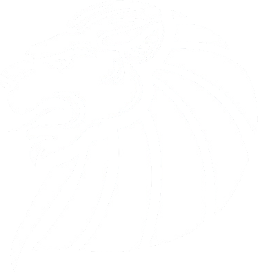 New Yorker Lions Braunschweig
