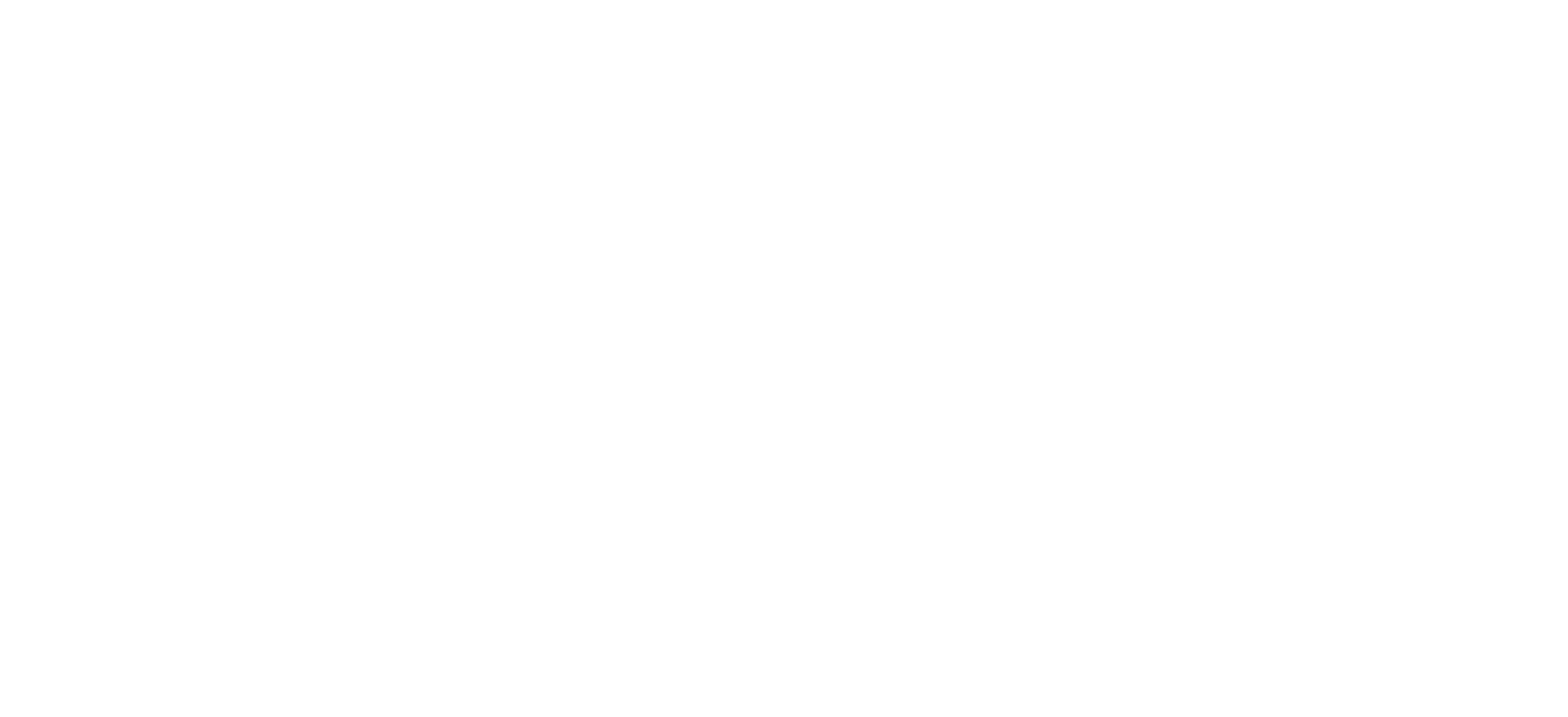 Pforzheim Wilddogs