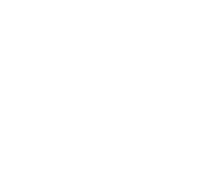 Saarland Hurricanes