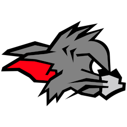 Kirchdorf Wildcats standings team logo