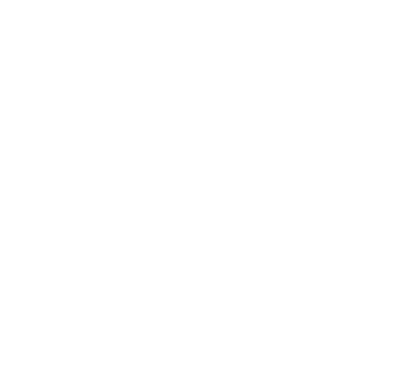 Saarland Hurricanes standings team logo