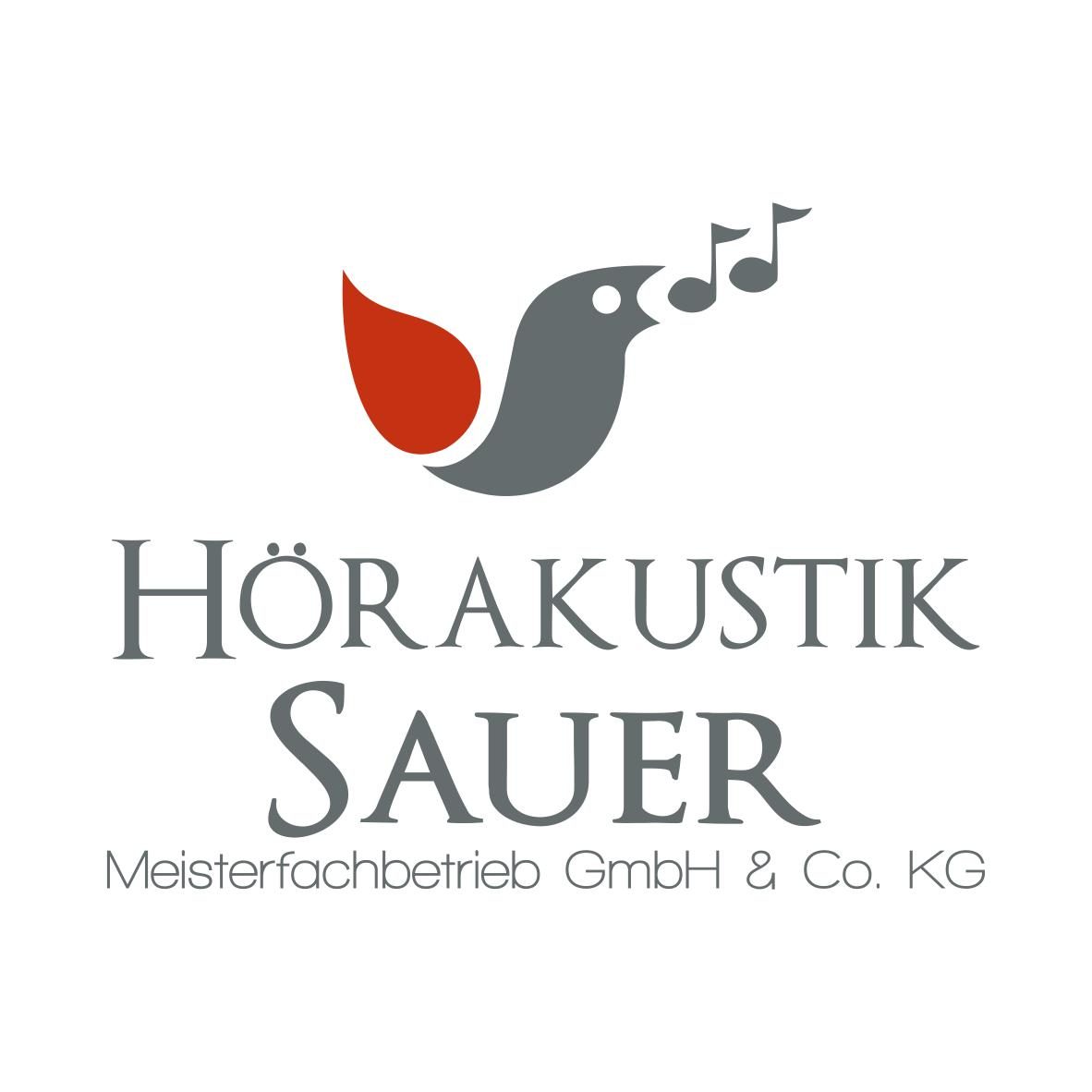 Logo Höraukustik Sauer